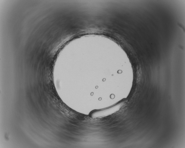 X0000103491213200810241053