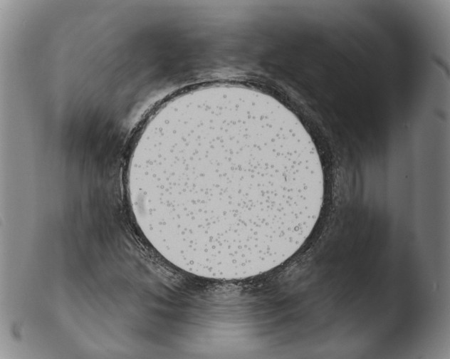 X0000103491214200810241053