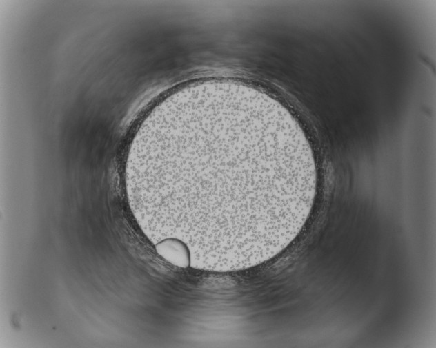 X0000103491215200810241053
