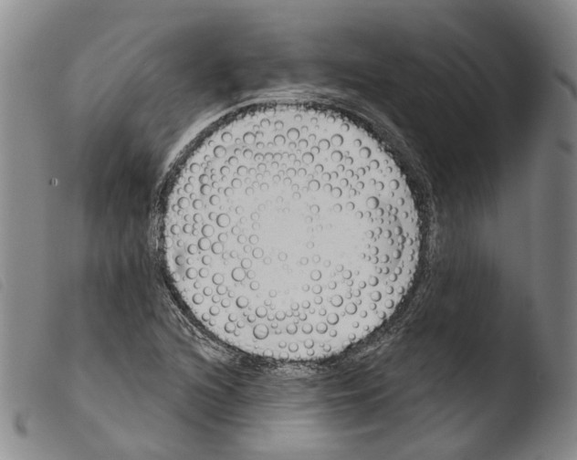 X0000103491216200810241053