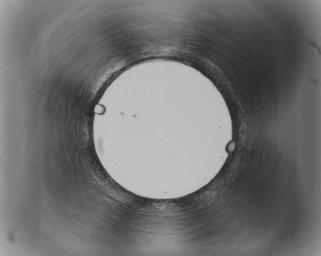X0000103491218200810241053