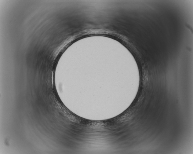 X0000103491221200810241053