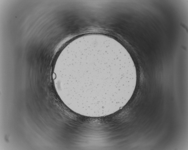 X0000103491222200810241053