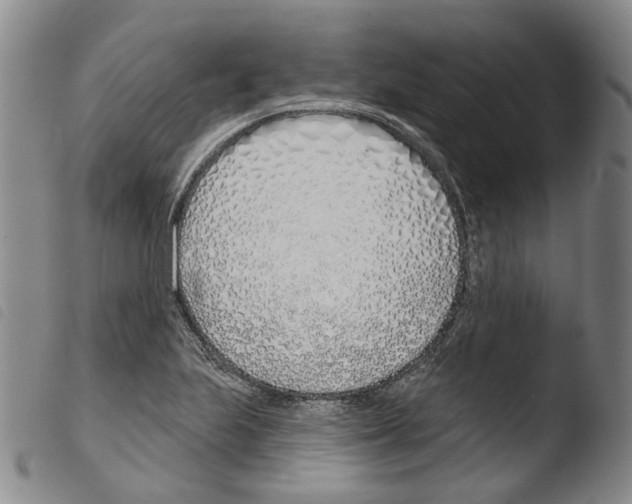 X0000103491223200810241053