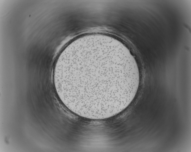 X0000103491224200810241053