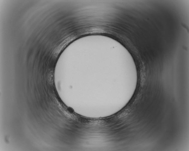 X0000103491225200810241053