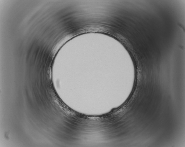 X0000103491226200810241054