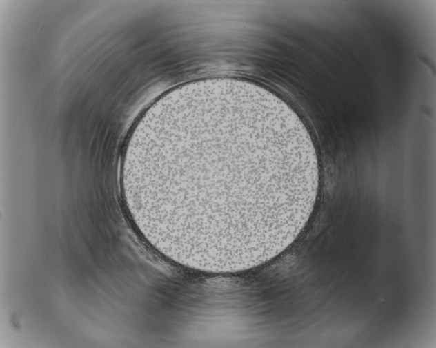 X0000103491227200810241054