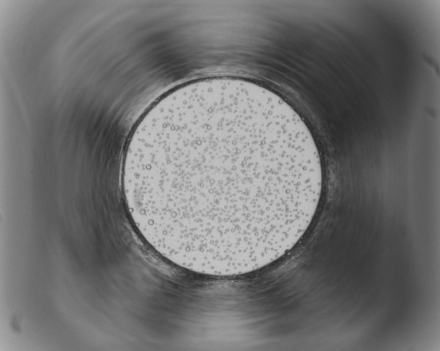 X0000103491228200810241054