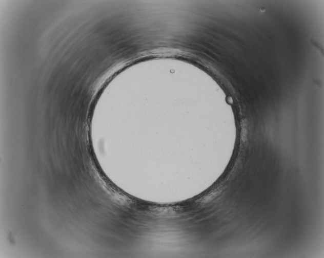 X0000103491229200810241054