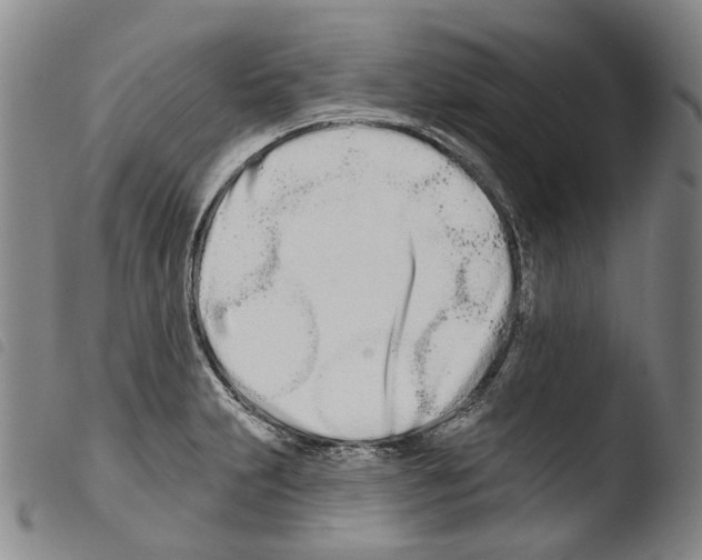 X0000103491231200810241054