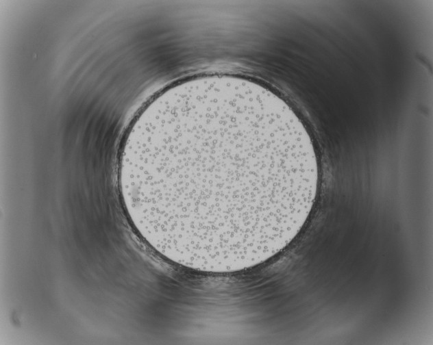 X0000103491232200810241054