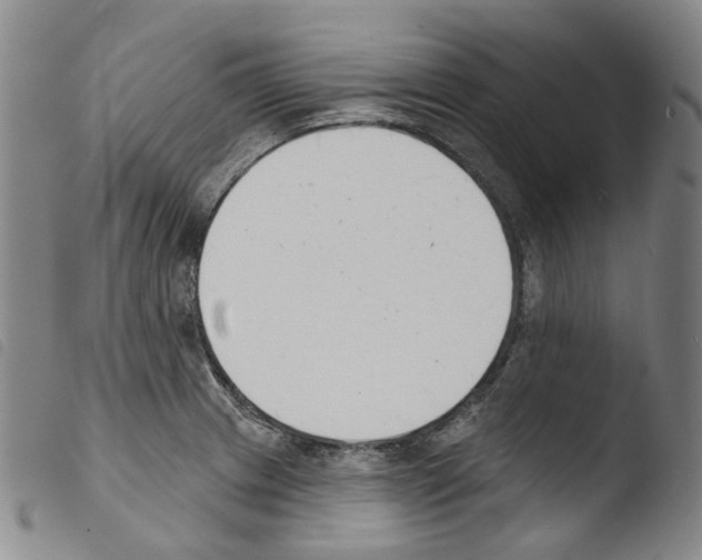 X0000103491233200810241054