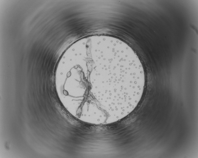 X0000103491234200810241054