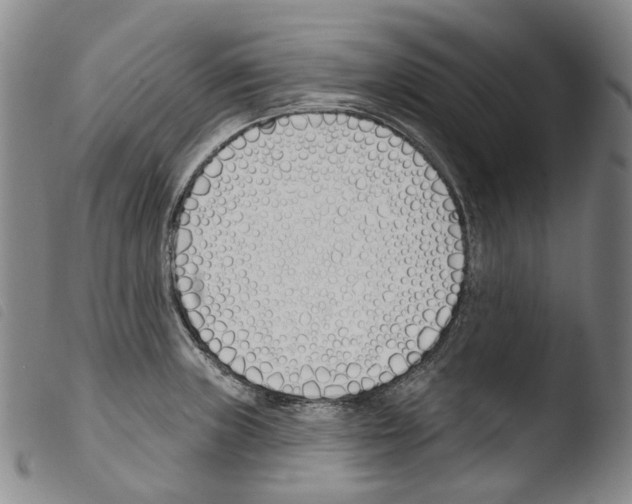 X0000103491235200810241054