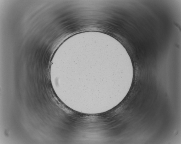 X0000103491236200810241054