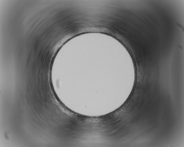 X0000103491237200810241054