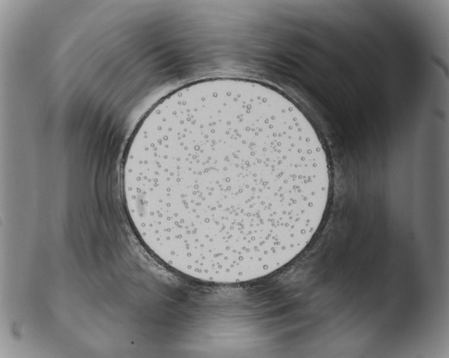 X0000103491238200810241054
