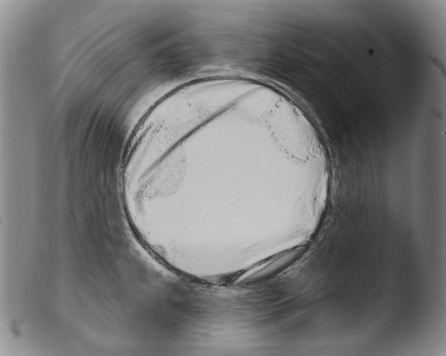 X0000103491239200810241054
