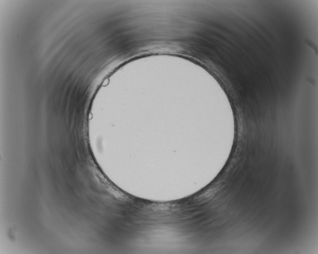 X0000103491240200810241054