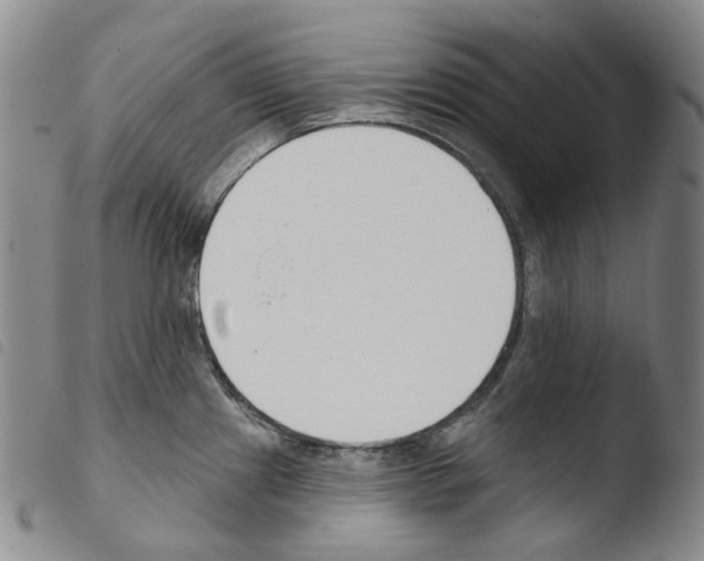 X0000103491241200810241054