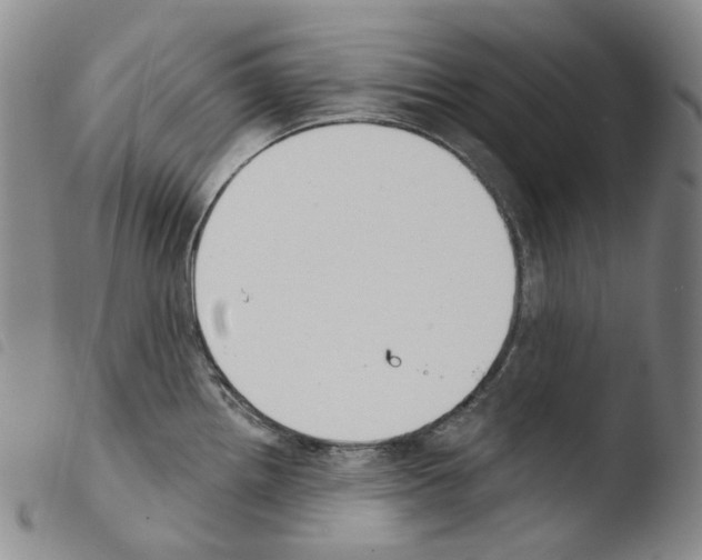 X0000103491242200810241054