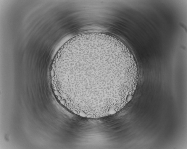 X0000103491243200810241054