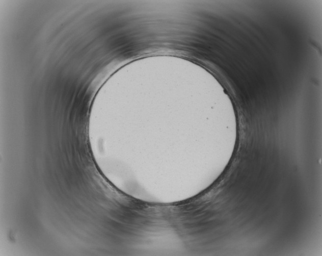 X0000103491244200810241054