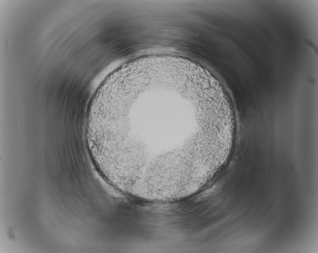 X0000103491245200810241054