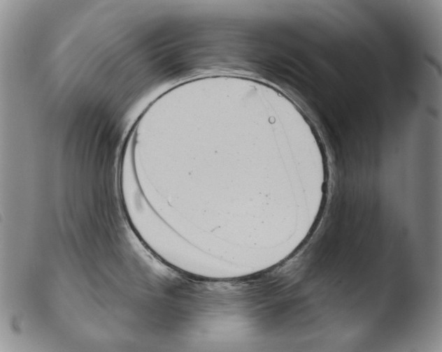 X0000103491246200810241054