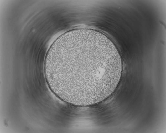 X0000103491247200810241054