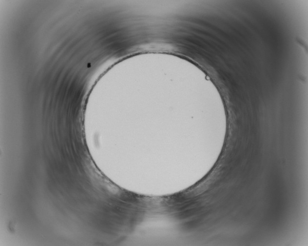 X0000103491248200810241054