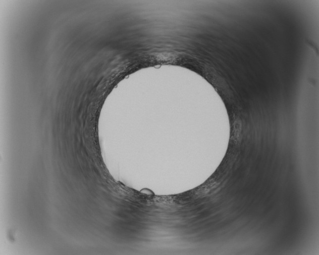 X0000103491249200810241053