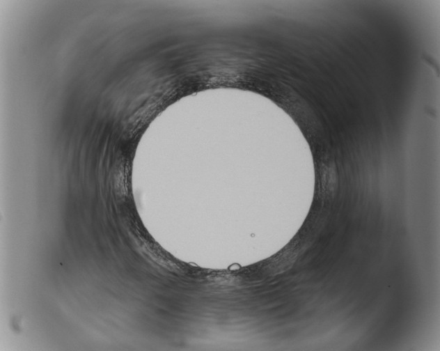 X0000103491250200810241053