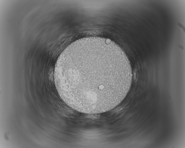 X0000103491251200810241053