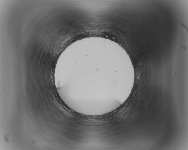 X0000103491252200810241053