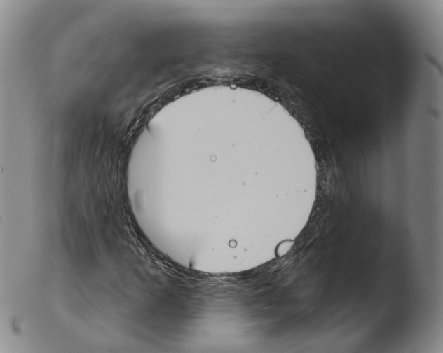 X0000103491253200810241053