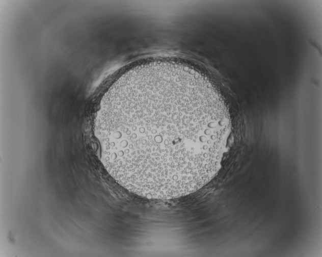X0000103491255200810241053