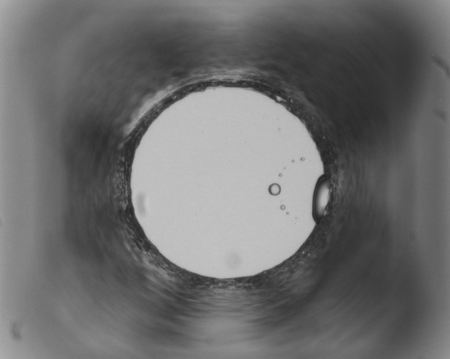 X0000103491256200810241053