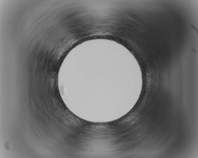 X0000103491257200810241053