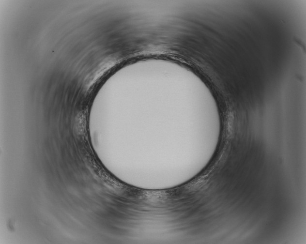 X0000103491258200810241053