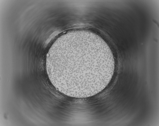 X0000103491259200810241053