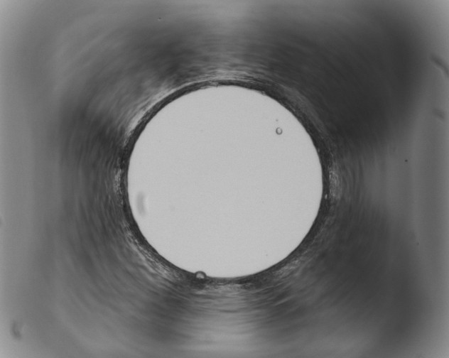 X0000103491260200810241053