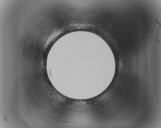 X0000103491261200810241053