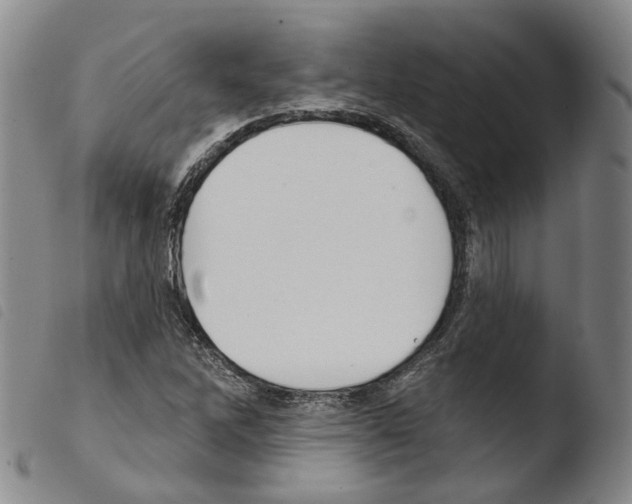 X0000103491262200810241053