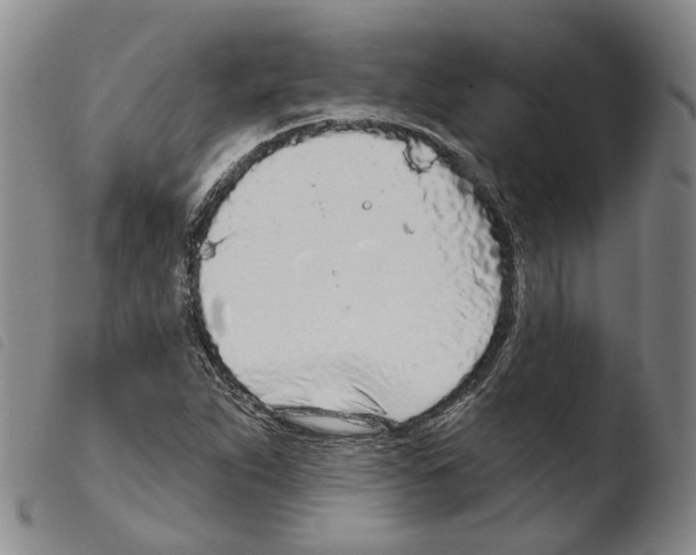X0000103491263200810241053