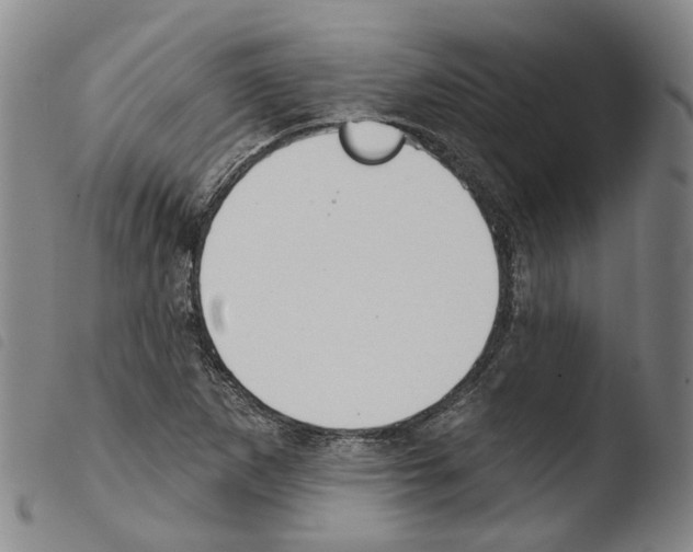 X0000103491265200810241053