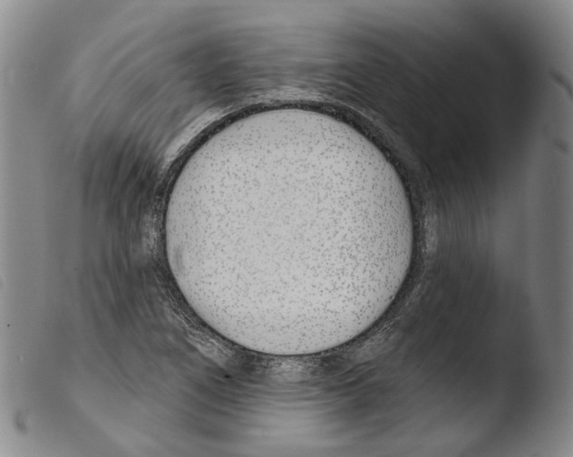 X0000103491266200810241053