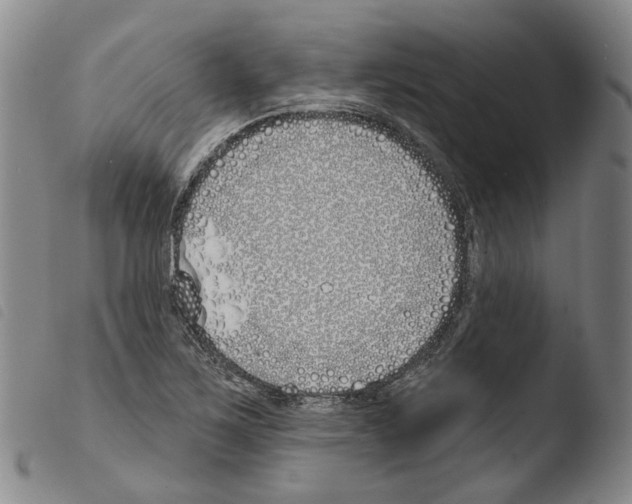 X0000103491267200810241053