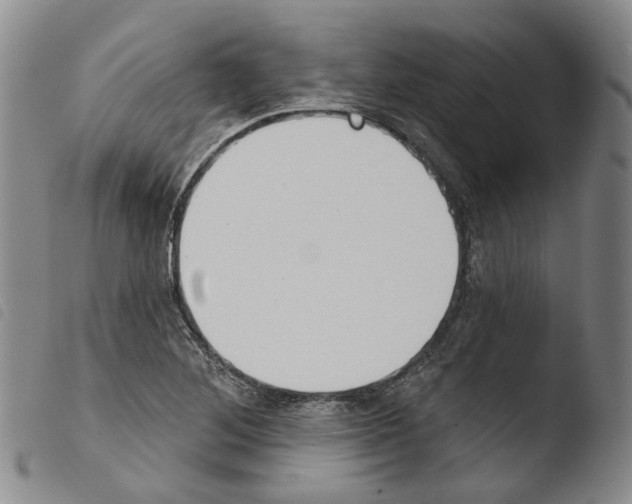 X0000103491268200810241053